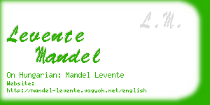 levente mandel business card